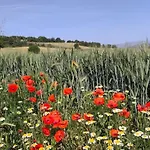 Holiday home Casa Sulla *