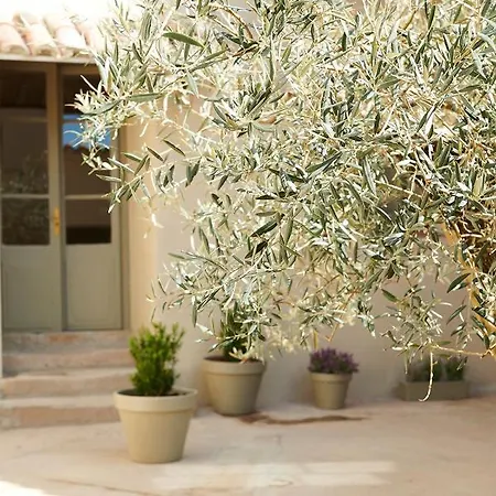 Casa Sulla Tremp